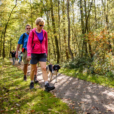 Wandelen Kempen-Broek