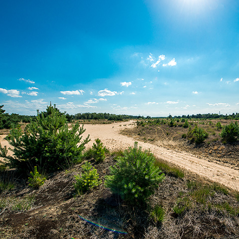 Weert grenspark Kempen-Broek