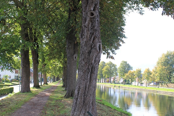 Het Verliefdenlaantje in Weert