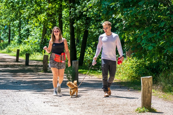 Stelletje wandelt met de hond door het IJzeren Man gebied in Weert