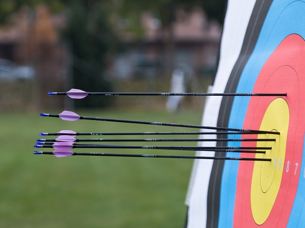 handboogschieten - pijlen zitten in het target